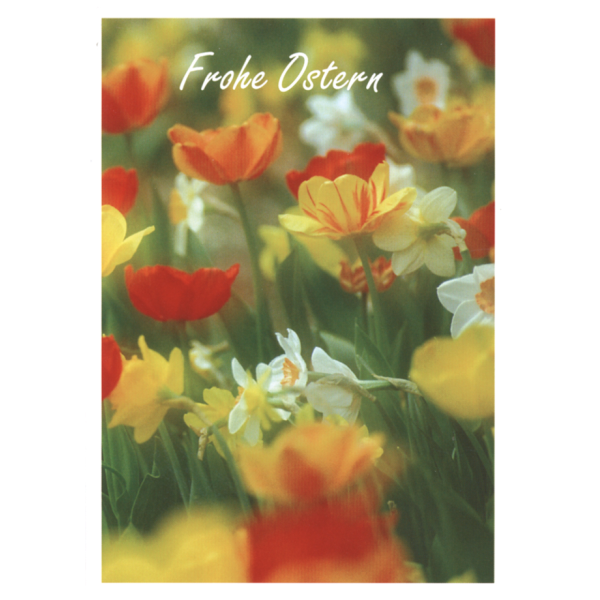 Ostern bunte Blumenwiese Glückwunschkarte mit Briefumschlag