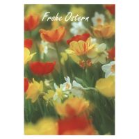 Ostern bunte Blumenwiese Glückwunschkarte mit...