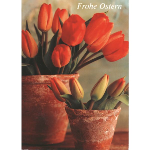 Ostern Tulpen in Blumenvase Glückwunschkarte mit Briefumschlag