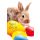 Ostern - Glückwunschkarte im Format 11,5 x 17 cm mit Briefumschlag