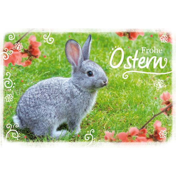 Ostern grauer Hase auf Wiese rote Blüten Glückwunschkarte mit Briefumschlag