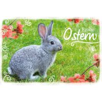 Ostern grauer Hase auf Wiese rote Blüten...