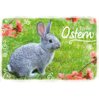 Ostern grauer Hase auf Wiese rote Blüten...