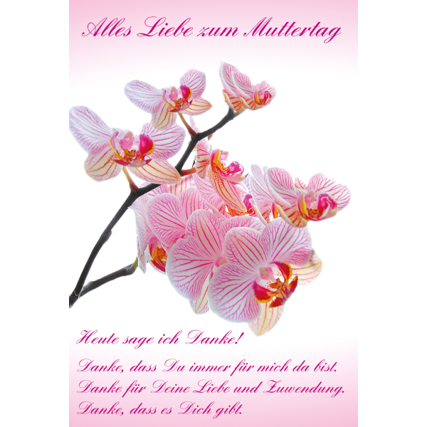 Muttertag Magnolien Alles Liebe zum Muttertag Glückwunschkarte mit Briefumschlag