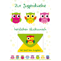 Jugendweihe Geldgeschenkkarte mit Umschlag  Eulen...