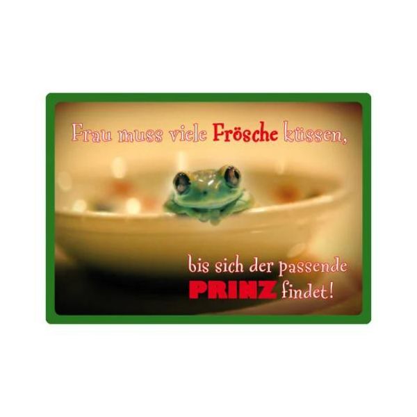 Kipis Selbsthaftende Schilder der passende Prinz UVP: € 2,95