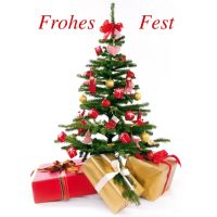 Weihnachten Midikarte Grußkarte mit Umschlag...