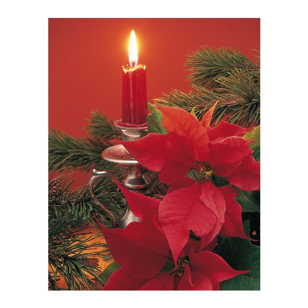 Weihnachten Midikarte Grußkarte mit Umschlag  Kerze Weihnachtsstern