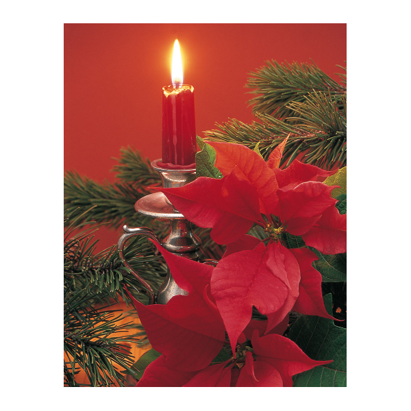 Weihnachten Midikarte Grußkarte mit Umschlag  Kerze Weihnachtsstern