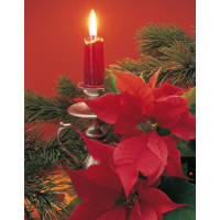 Weihnachten Midikarte Grußkarte mit Umschlag  Kerze...