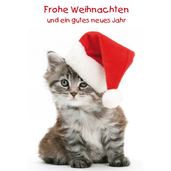 Weihnachten Glückwunschkarte mit Umschlag  Katze Weihnachtsmütze Frohe Weihnachten Gutes Neues Jahr