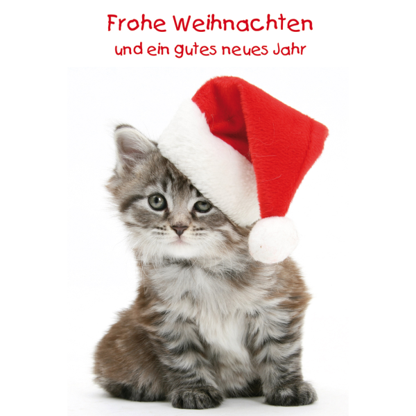 Weihnachten Glückwunschkarte mit Umschlag  Katze Weihnachtsmütze Frohe Weihnachten Gutes Neues Jahr