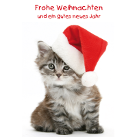 Weihnachten Glückwunschkarte mit Umschlag  Katze...