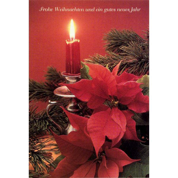 Weihnachten Glückwunschkarte mit Umschlag  Weihnachtsstern Frohe Weihnachten Gutes Neues Jahr