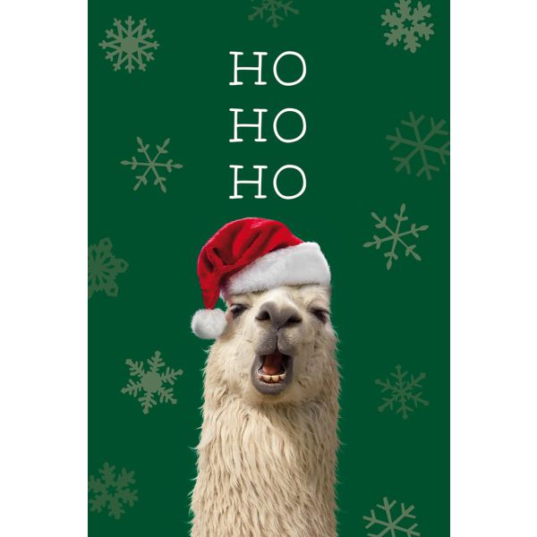Weihnachten Glückwunschkarte mit Umschlag  Lama mit Weihnachtsmütze HO HO HO