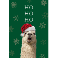 Weihnachten Glückwunschkarte mit Umschlag  Lama mit...