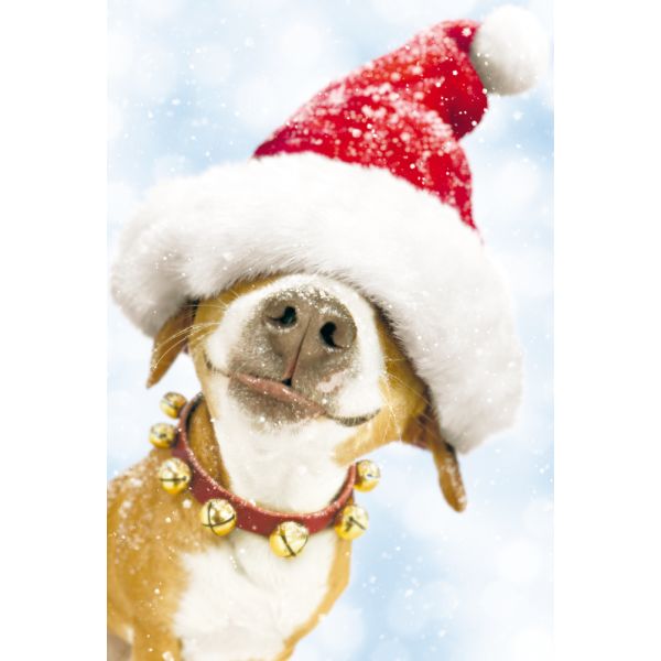 Weihnachten - Premium Line - Glückwunschkarte im Format 11,5 x 17 cm mit Briefumschlag