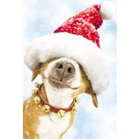 Weihnachten - Premium Line - Glückwunschkarte im...