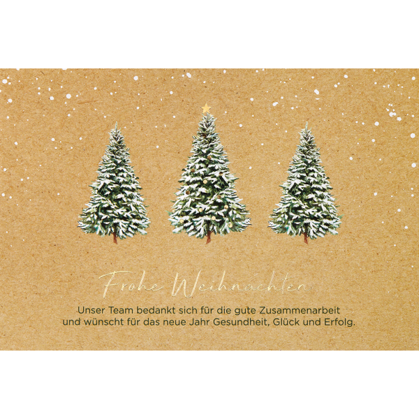 Weihnachten Team-Danksagung Glückwunschkarte mit Umschlag Geschäftstext