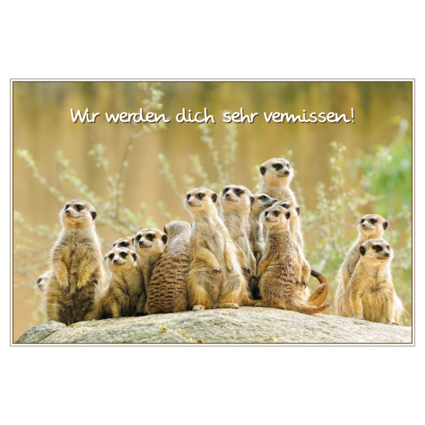 Abschied Grußkarte mit Umschlag  Erdmännchen Vermissen