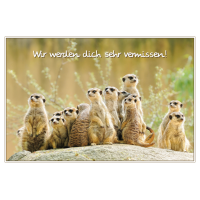 Abschied Grußkarte mit Umschlag  Erdmännchen...