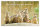 Abschied - Glückwunschkarte im Format 11,5 x 17 cm mit Briefumschlag