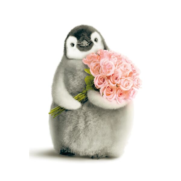 Blanco  Glückwunschkarte mit Umschlag Pinguin Rosen