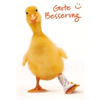 A Genesung Glückwunschkarte mit Umschlag  Küken...