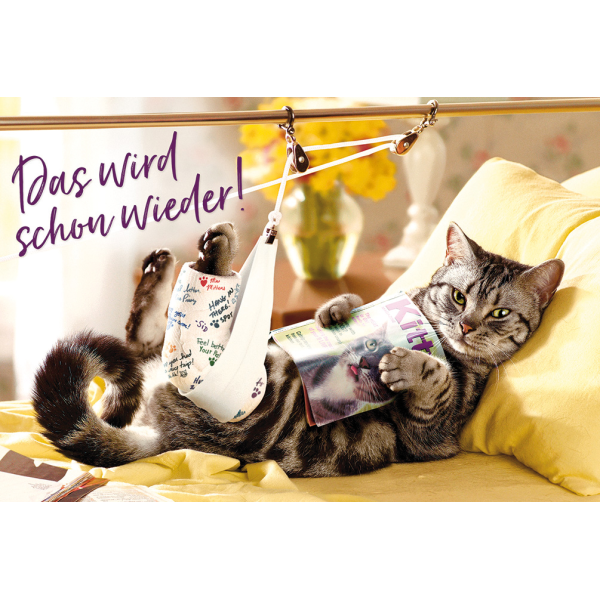 Genesung Glückwunschkarte mit Umschlag  Katze Gipsbein Das wird schon wieder