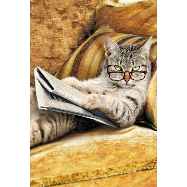 Ohne Text Premium Line Glückwunschkarte mit Briefumschlag Katze Brille Zeitung Sofa