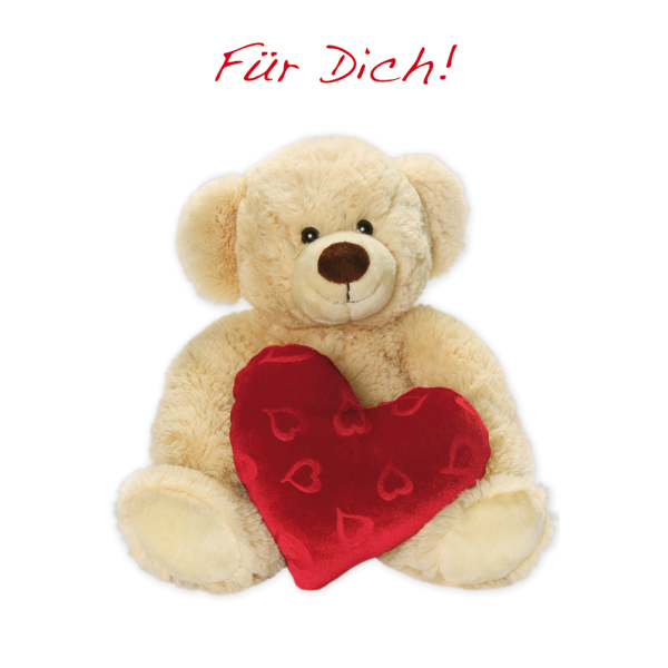 Allgemeine Wünsche Glückwunschkarte mit Briefumschlag Bär Für Dich