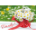 Danke  Grußkarte mit Umschlag Blumen Danke