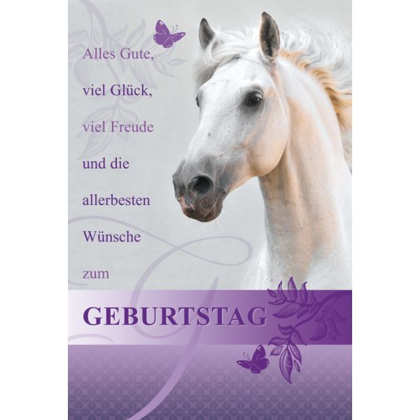 Geburtstag Glückwunschkarte mit Umschlag Pferd Alles Gute, 2,50