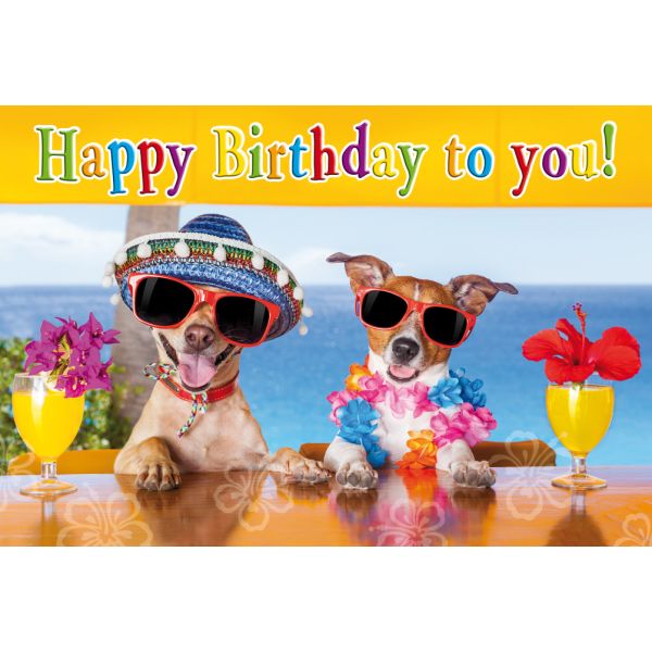 Geburtstag Glückwunschkarte mit Umschlag Hunde Sonnenbrillen Happy Birthday