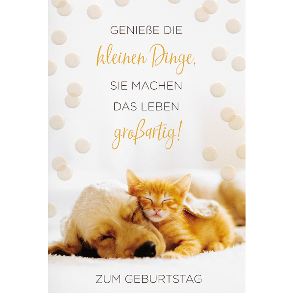 Geburtstag unverpackte Glückwunschkarte mit Umschlag Katze Hund Spruch Zum Geburtstag
