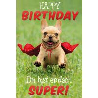 Geburtstag Supermann-Hund Premium Line...
