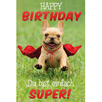 Geburtstag Supermann-Hund Premium Line...
