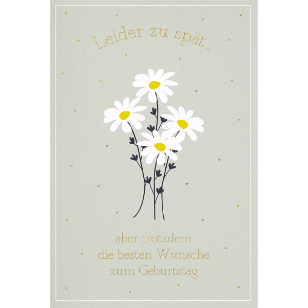 Geburtstag nachträglich Leider zu spät Glückwunschkarte mit Briefumschlag verspätet Margerite