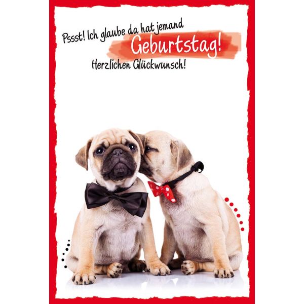 Geburtstag – Colourful Life - Glückwunschkarte im Format 11,5 x 17 cm mit Umschlag – Pssst! Ich glaube da hat jemand Geburtstag! Herzlichen Glückwunsch – Mops – BSB