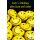 A - Schulanfang Smiley Glückwunschkarte mit Umschlag Alles Gute Smileys