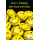 A - Schulanfang Smiley Glückwunschkarte mit Umschlag Alles Gute Smileys