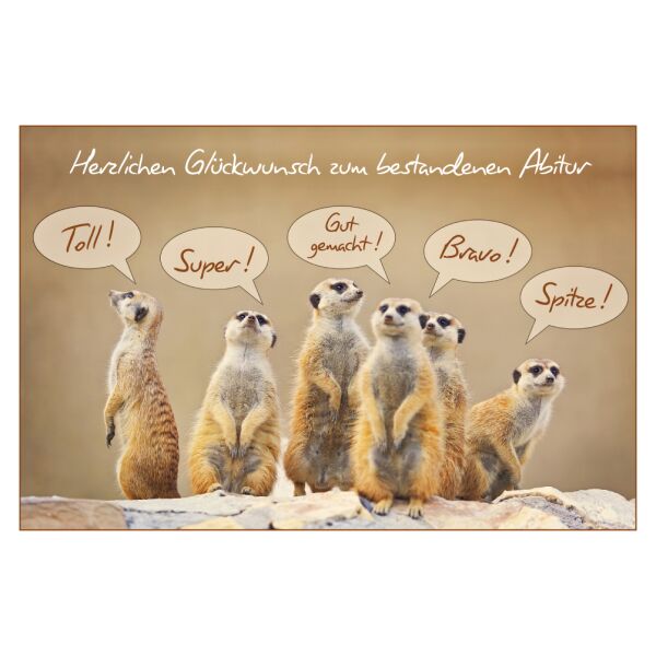 Abitur  Glückwunschkarte mit Umschlag Erdmännchen Herzlichen Glückwunsch