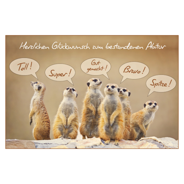 Abitur  Glückwunschkarte mit Umschlag Erdmännchen Herzlichen Glückwunsch