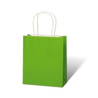 Tasche Kraftpapier 18x21x8 cm grün Geschenktüte...
