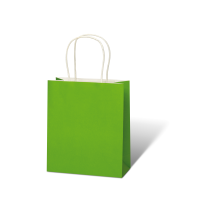 Tasche Kraftpapier 18x21x8 cm grün Geschenktüte...