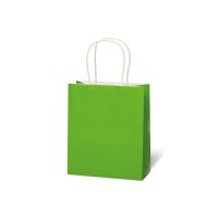 Tasche Kraftpapier 18x21x8 cm grün Geschenktüte Umweltpapier BSB