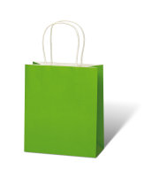 Tasche - Kraftpapier - 18x21x8 cm - grün