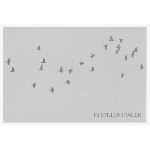 Trauer Beileid Kondolenzkarte mit Briefumschlag In stiller Trauer Vögel