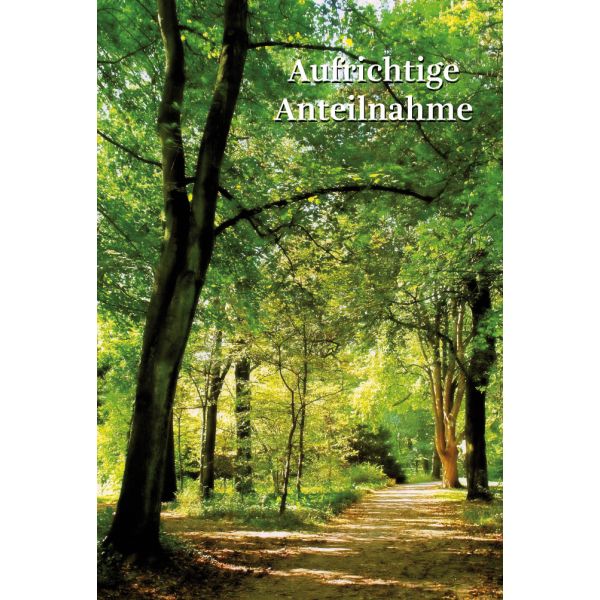 Trauer Beileid Kondolenzkarte mit Briefumschlag Aufrichtige Anteilnahme Licht auf Waldweg