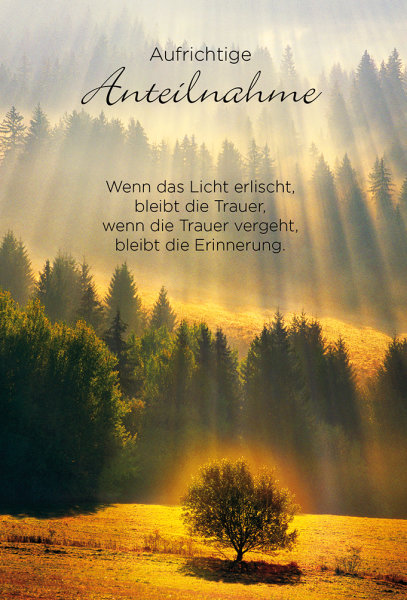 Trauer – Beileid - Premium Line - Kondolenzkarte im Format 11,5 x 17 cm mit Briefumschlag